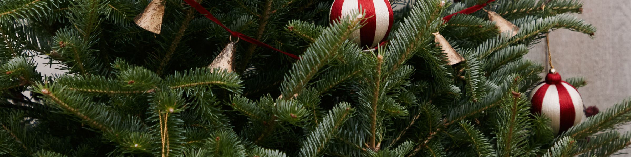 Sapin de Noêl