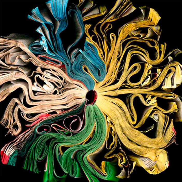 Photographies de livres de Cara Barer