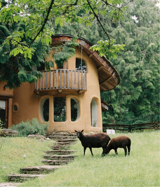 Photo of a house in the forest with sheeps