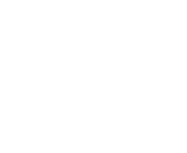 A Little Something New
