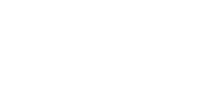 Romantic Lace