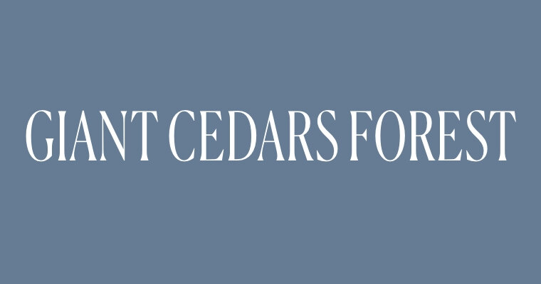 Giant Cedars Forest