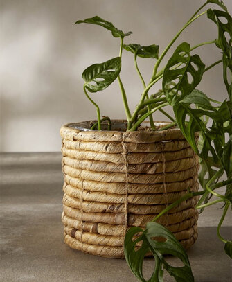Tous nos cache-pots et accessoires de jardinage chez Simons Maison