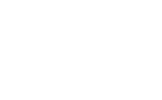 Viva Puerto Rico