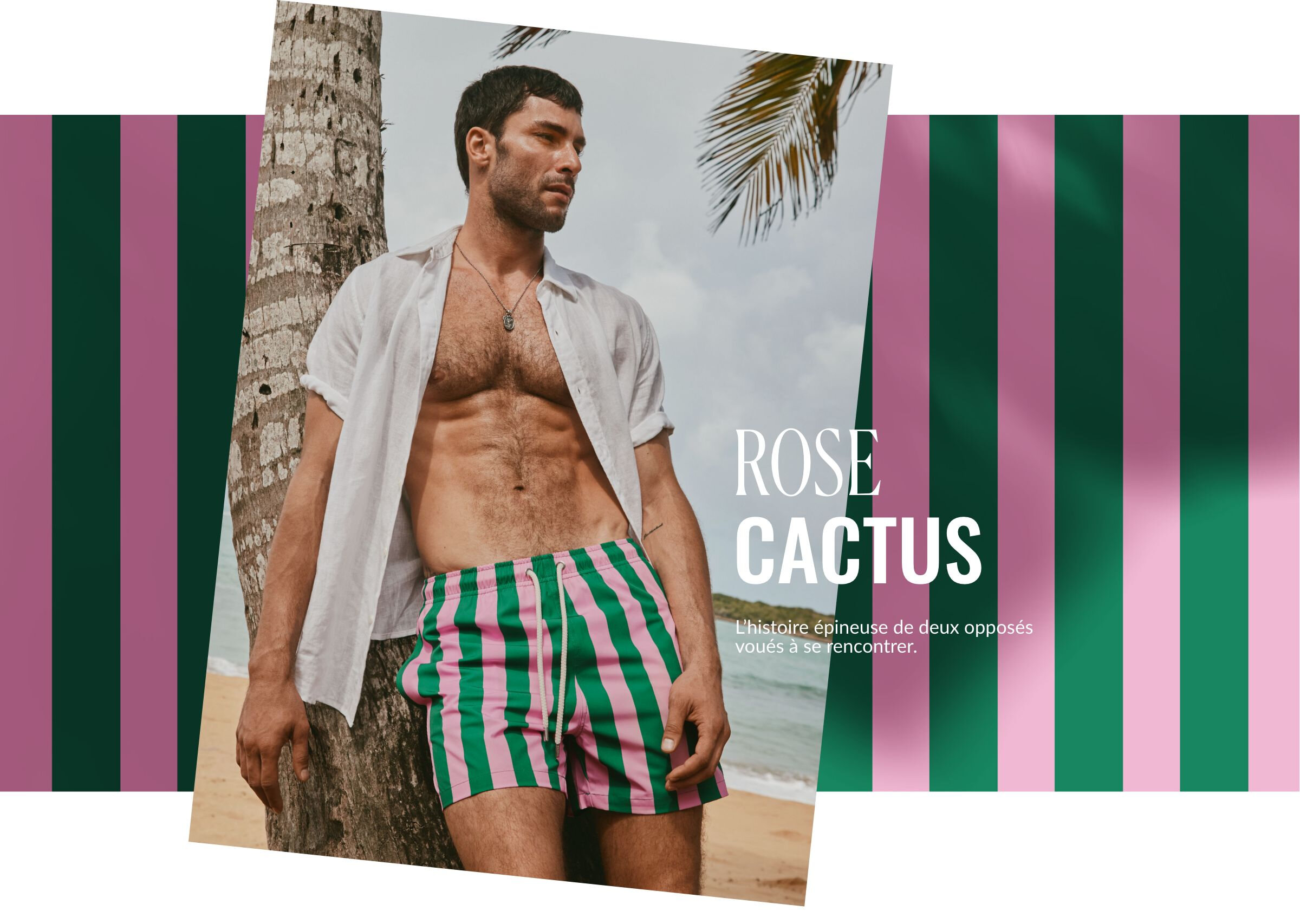 rose et vert cactus |L'histoire épineuse de deux opposés voués à se rencontrer.