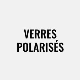 Verres polarisés