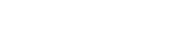 Le flâneur penny en cuir lisse