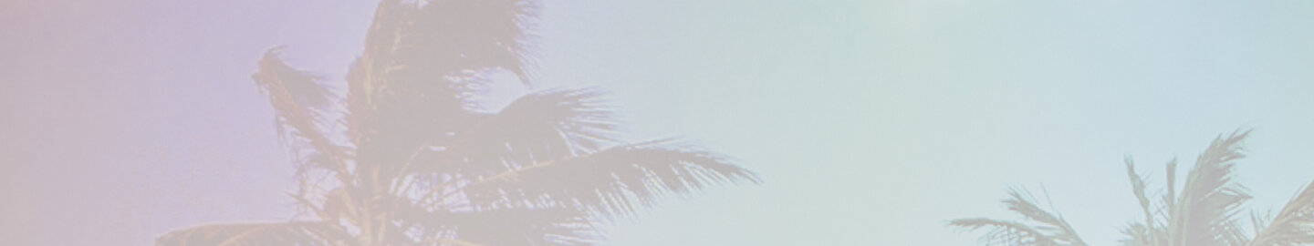 Background visual - Palm trees