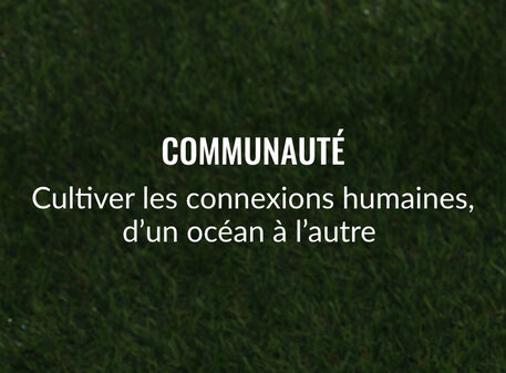 Communauté