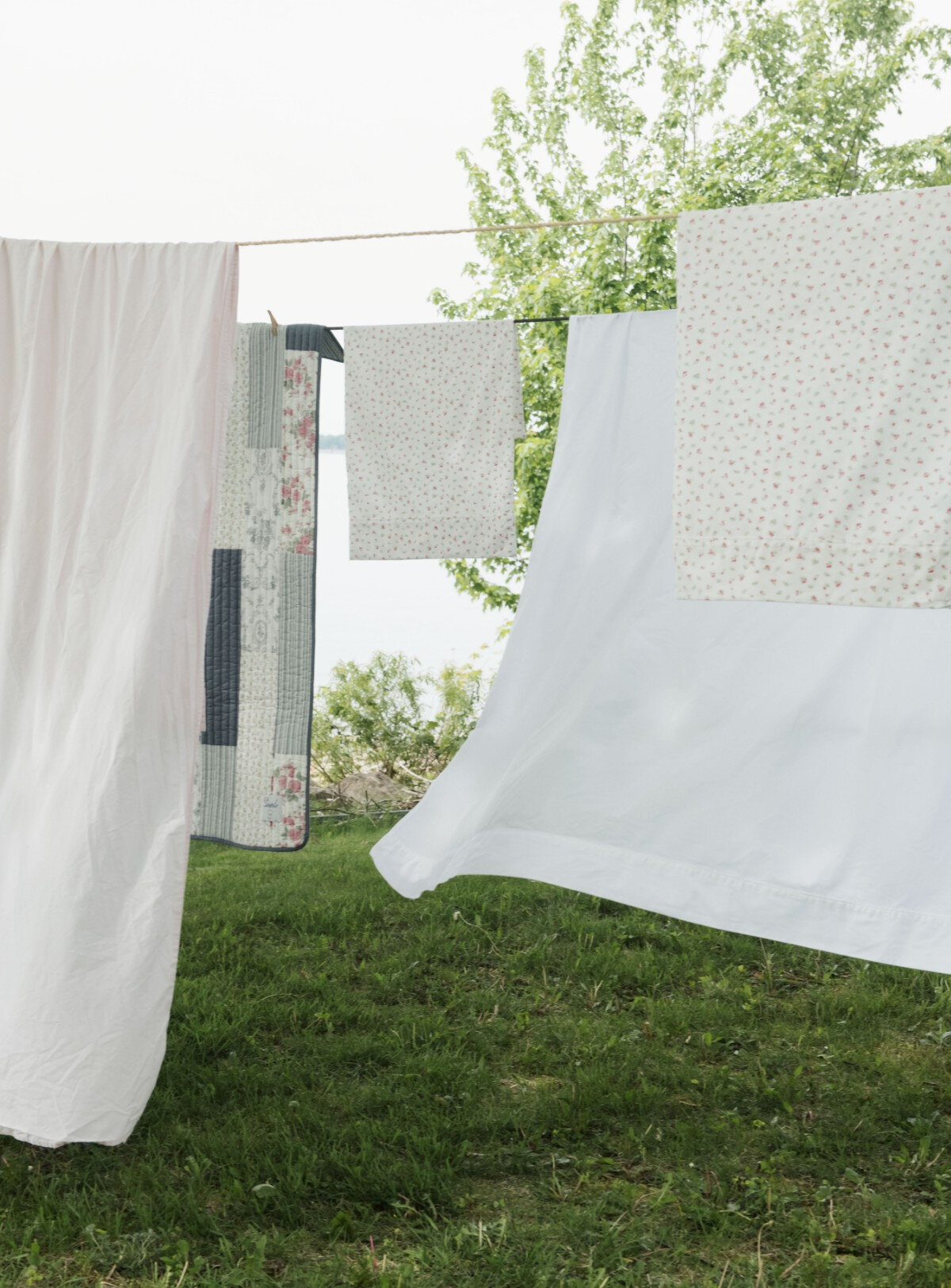 Draps