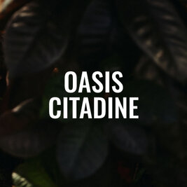 Oasis citadine