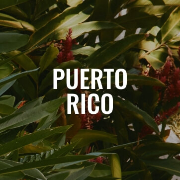 Puerto Rico
